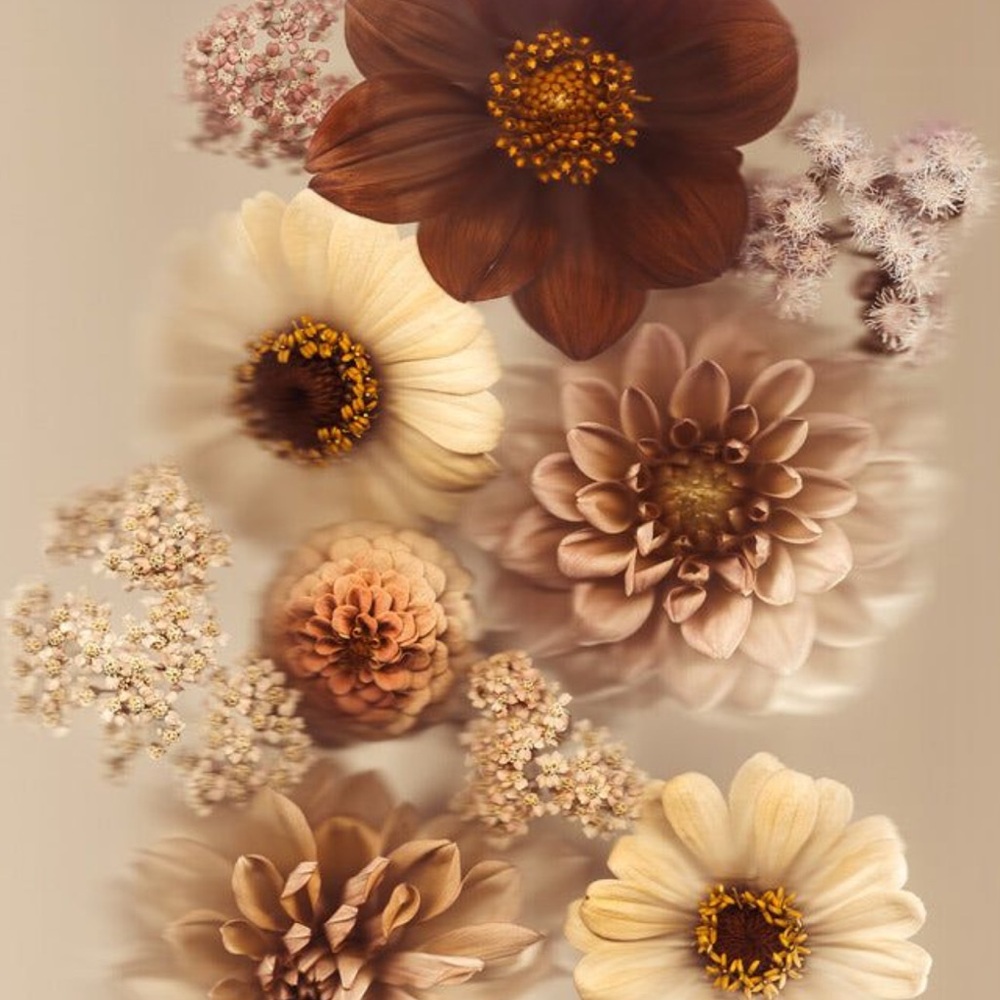 ALL THINGS TAN,BEIGE AND BROWNS